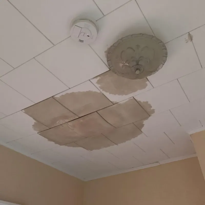 Ceiling Water Damage Repair in Trumbull, CT
