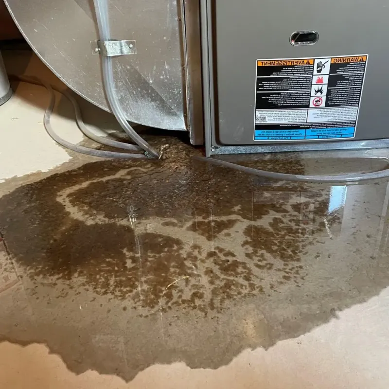Pipe Burst and Leak Restoration in Trumbull, CT